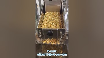 Single head linear weigher dry corn granule operation video from Wilpac
