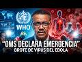 La amenaza del Ébola: Transmisión y síntomas mortales