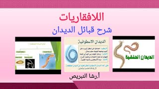 اللافقاريات.. قبائل الديدان.  المفلطحة والاسطوانية والحلقية  أحياء حادي عشر