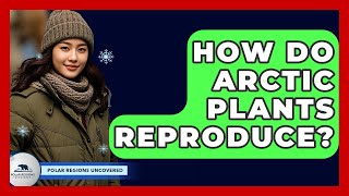 How Do Arctic Plants Reproduce? - Polar Regions Uncovered