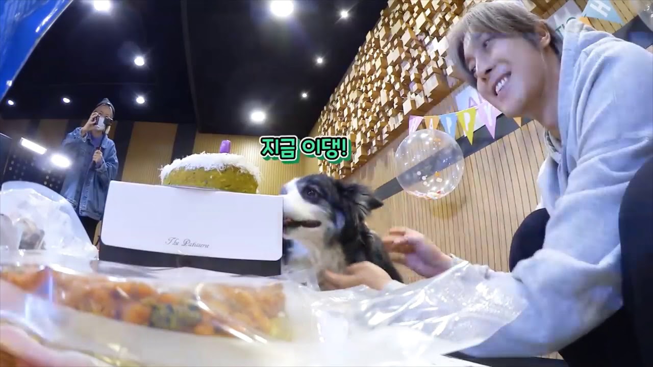 LVICKO KPOP FUNNY MOMENTS (KIM HYUN JOONG Y SUS PEQUES PERRUÑOS) =)