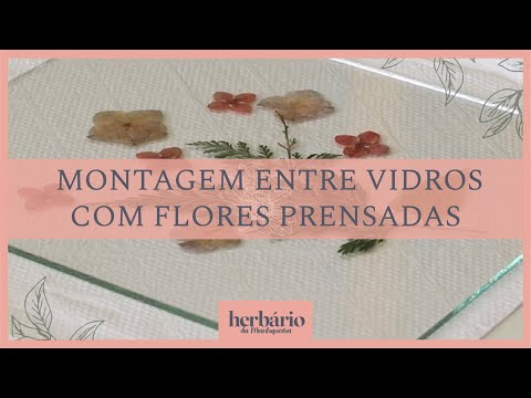 Plantas: arte e artesanato