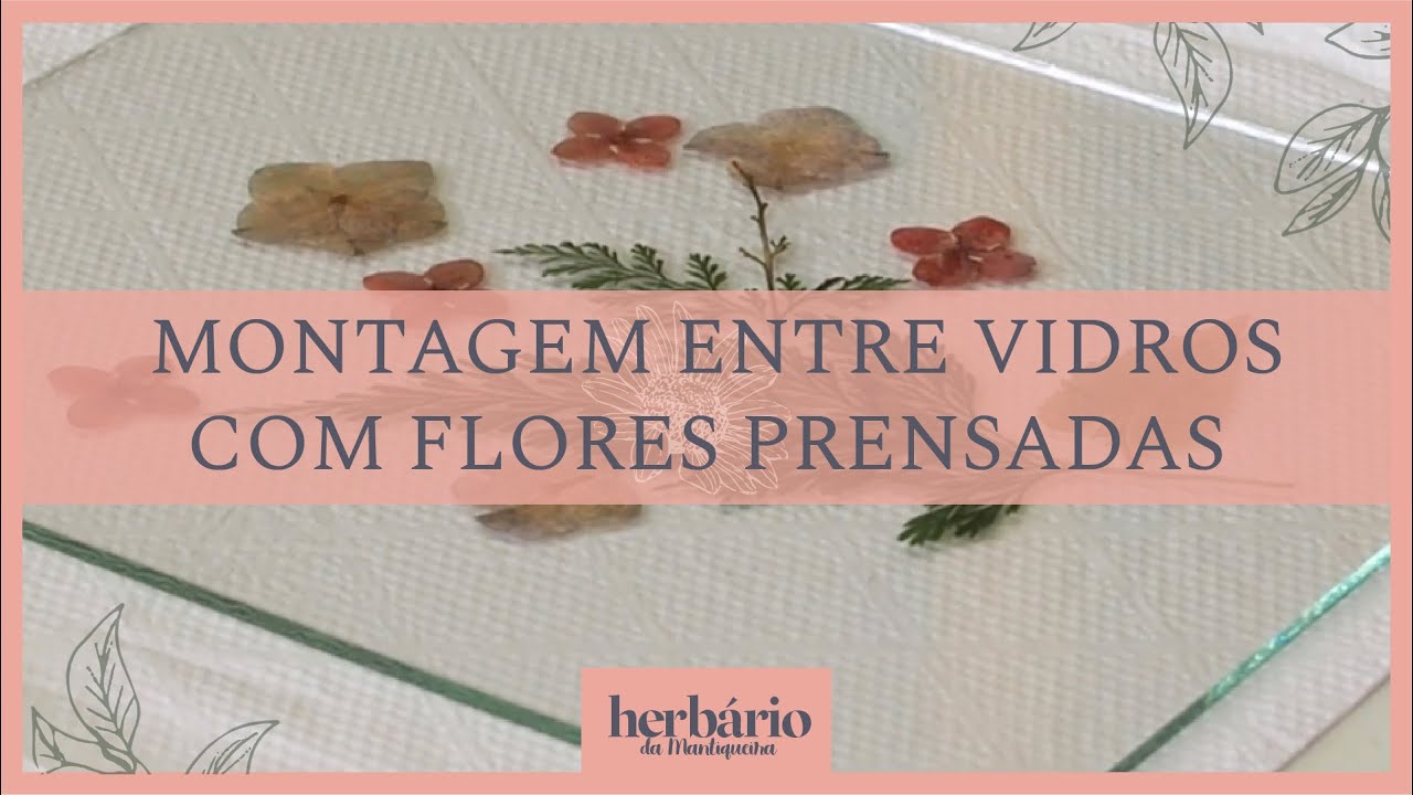 Flores Prensadas: Como fazer a montagem entre vidros