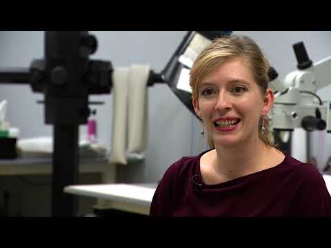 Restoring the Ruby Slippers