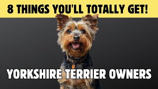 8 Things Only Yorkshire Terrier Dog Owners Understand
