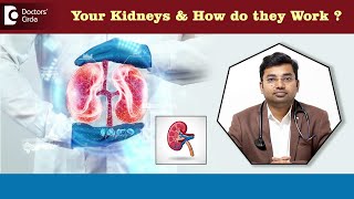 How do your Kidneys work | How your urinary system works - Dr. Dayanand | Doctors' Circle by Doctors' Circle World's Largest Health Platform 213 views 1 day ago 1 minute, 5 seconds