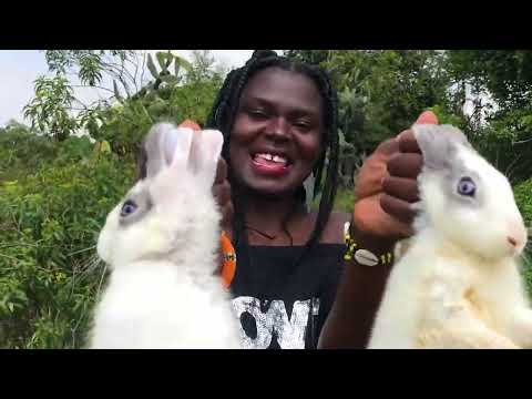 African village girl having a great day with twin rabbits