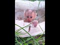Sequence 01 1 2 002 4