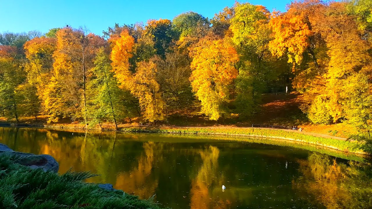 Осеннее утро в 4K Ultra HD Виртуальное путешествие по парку