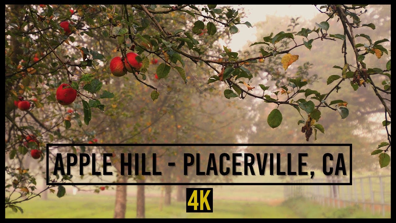 Downtown Placerville To Apple Hill CA 4k Sunny Fall Drive YouTube downtown-placerville-to-apple-hill-ca-4k-sunny-fall-drive-youtube