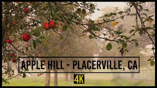 Downtown Placerville to Apple Hill, CA - 4k - Sunny Fall Drive