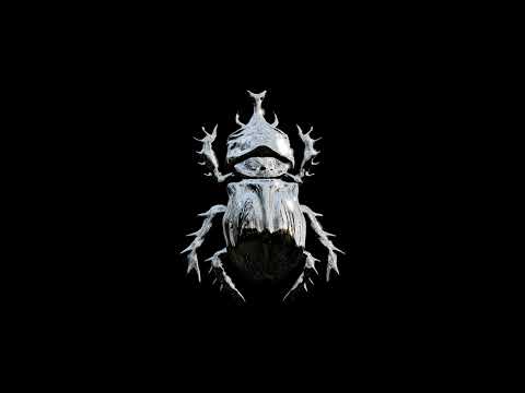 Suhn Live Stream