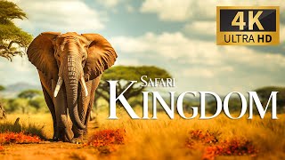 Safari Kingdom 4K 🐾 Discovery The Most Beautiful Natural Wonders With Relaxing Piano Music