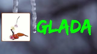 Future Islands - Glada (Lyrics)