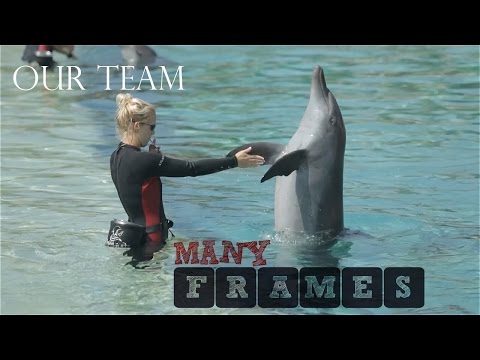 Picsolve Team – Atlantis The Palm – Dolphin Bay