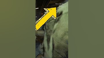 HEALING BUG IN DESCENT (The Division 2) #shorts