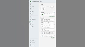 วิธี Print Excel ทุกชีท + ใส่ หมายเลขหน้า อัตโนมัติ