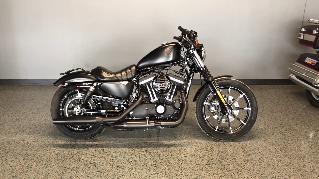 2019 Harley-Davidson Sportster 883 | American Motorcycle Trading 