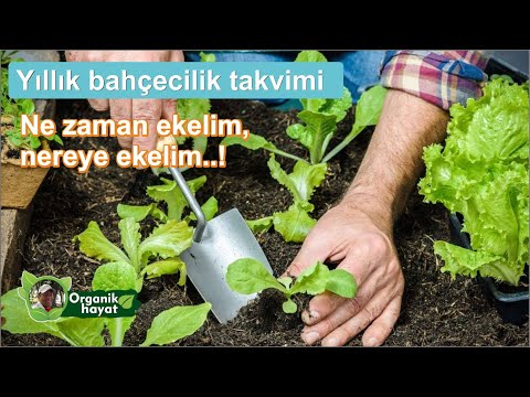 Video: Bir Bahçıvanın Takvimi Nasıl Yapılır