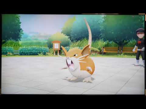 ポケットモンスター Let's Go! イーブイ プレイ２０[ハナダジム戦、５ばんどうろ]