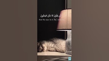 إنما أمره إذا أراد شيئا أن يقول له كن فيكون [ يس: 82] للقارئ #العجمي