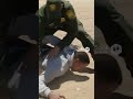 Border patrol arrest man #lawenforcement #police #funny #funnypolice #policeofficer