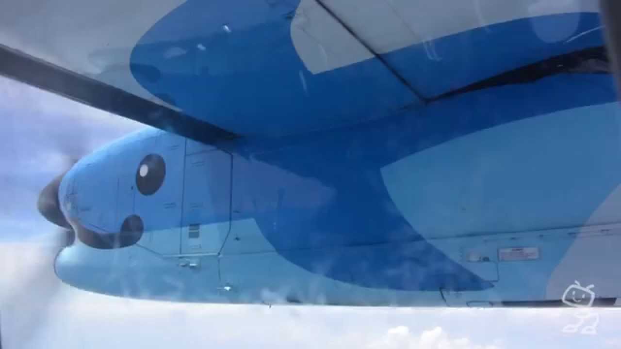 天草エアライン みぞか号 | D-KAGA BLOG