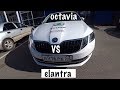 ВЛОГ#7 Octavia или Elantra / Концерт в день города