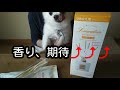 【もなはい】ルームディフューザー　ランドリン