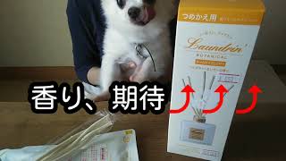 【もなはい】ルームディフューザー　ランドリン