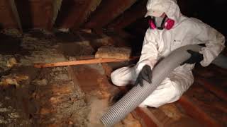 Attic Cleaning Bay Area | (844) 249-2070