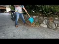 Driveway clean up - 2024 Sept 5