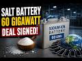 The Salt Battery Deal That Could Destroy Lithium’s Future