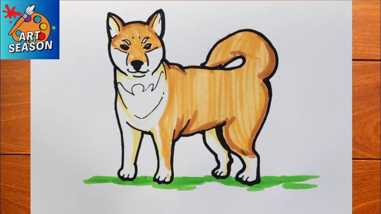 How to Draw a Shiba Inu easy step by step