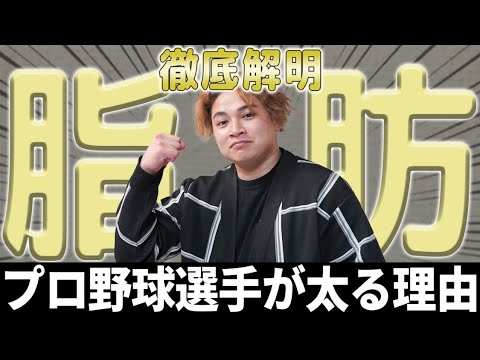 【衝撃】プロ野球選手が太りやすい理由