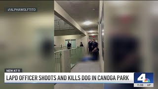 Knicks celebration ends with dog shot, killed by police in Canoga Park: LAPD