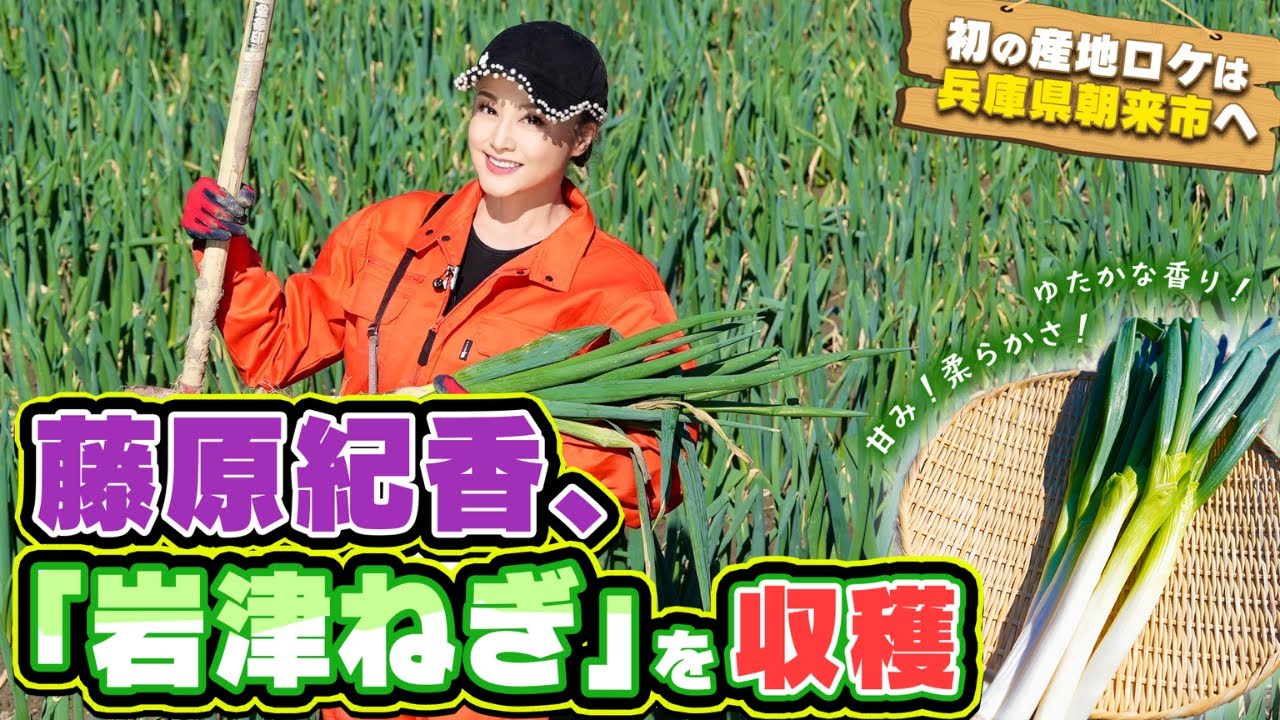 藤原紀香が兵庫県朝来市で初の産地ロケへ！独特の甘みと柔らかさの