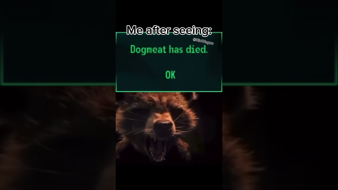 Sad Times #fallout #shorts #memes