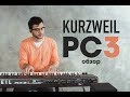 Синтезатор Kurzweil PC3LE6