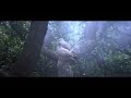 Jonathan Livingston Seagull 1973 Be Neil Leslie Diamond 4K HDR 