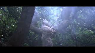 Jonathan Livingston Seagull 1973 •  Be   Neil Leslie Diamond • 4K HDR