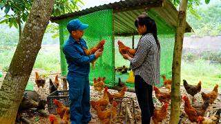 Former police officer builds new chicken coop. Single mother catches giant fish to sell at market