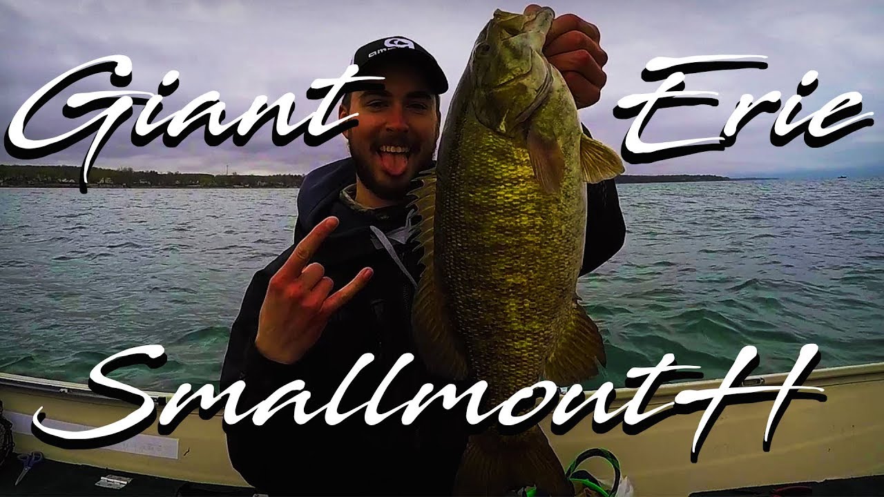 MONSTER Lake Erie Smallies (New PB!!)