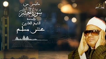 ماتيسر من سورة الحشر والممتحنة للقارئ عنتر مسلم