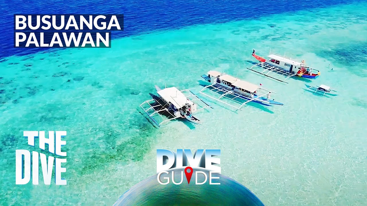 Virtual Diving in Busuanga, Palawan #TheDivePH