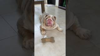 POLAR ME MANIPULÓ… Y CAÍ OTRA VEZ 😂