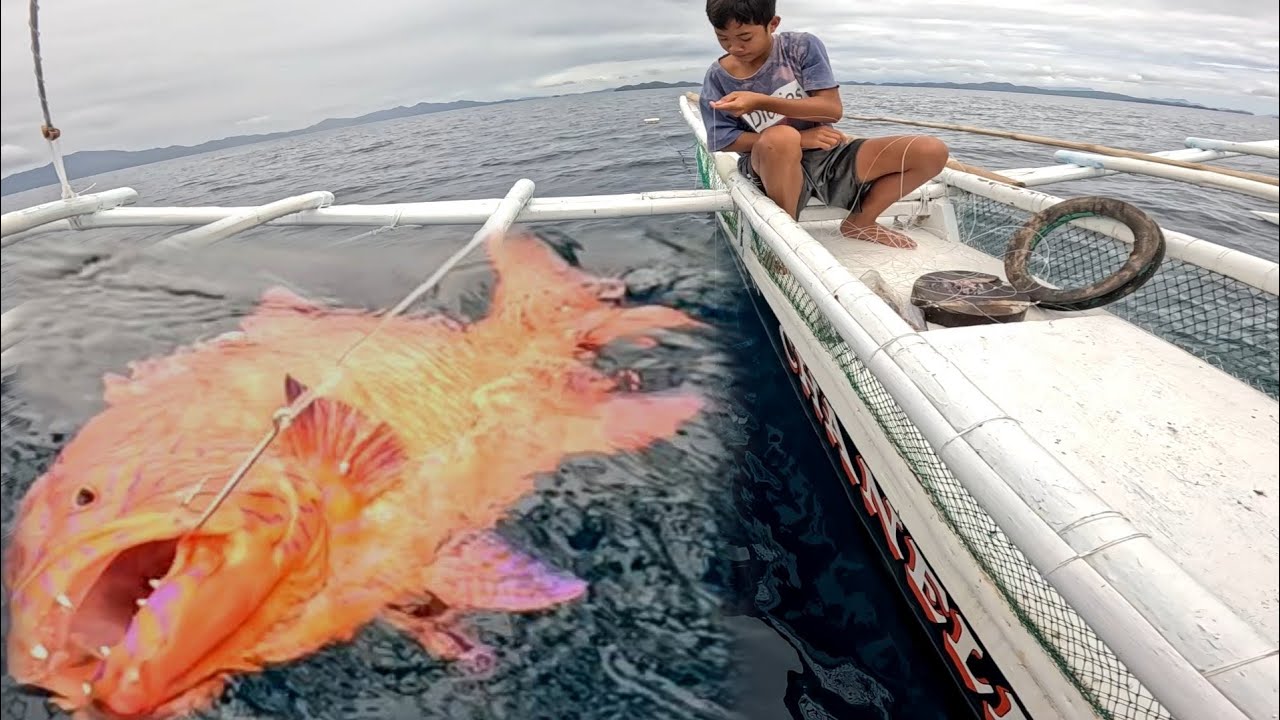 Giant Tiger Grouper ang bumungad sa Bata!