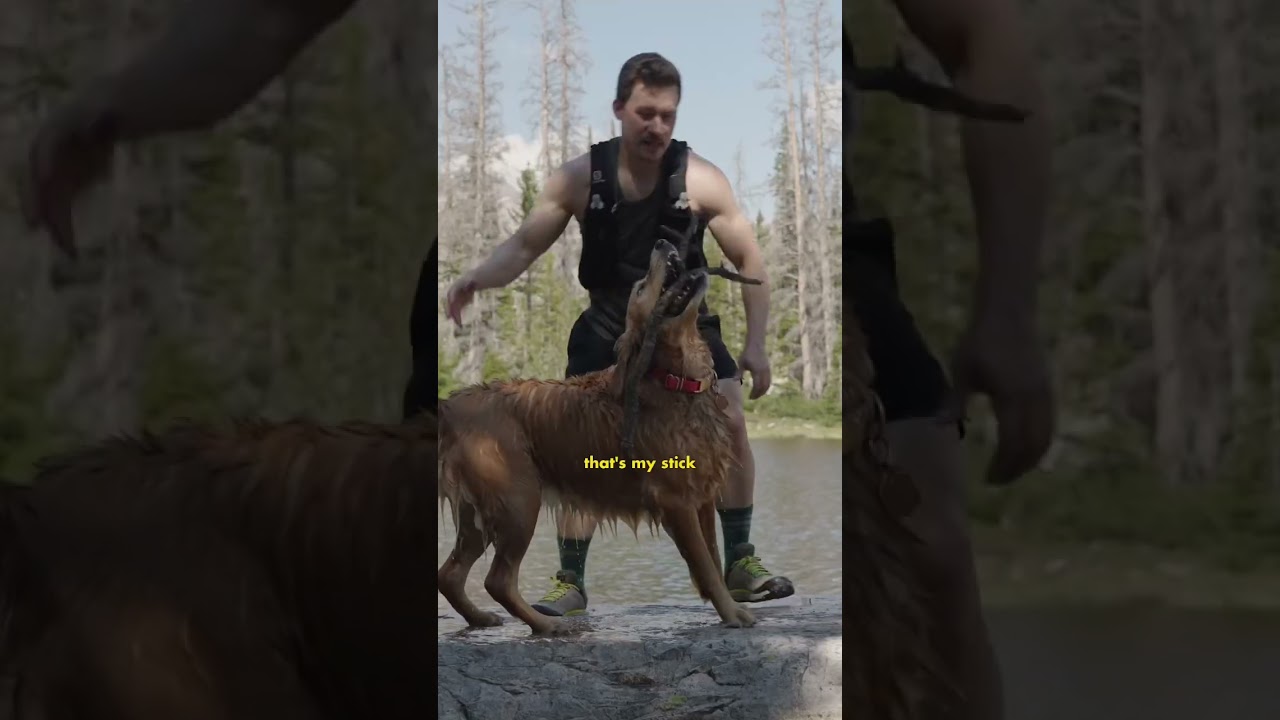 Beautiful lake hike with my dog! 