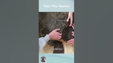 Giải cứu rùa biển bị mắc câu #short #shorts #viralvideo