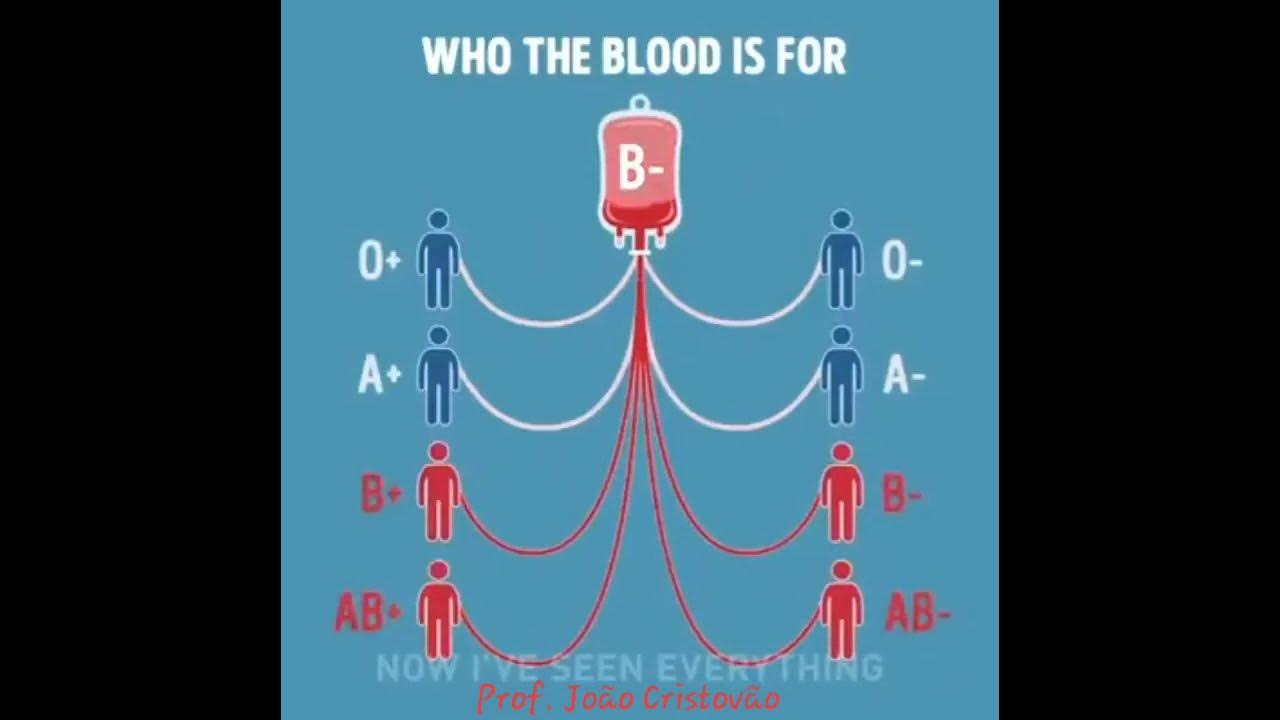 Grupos sanguineos compatibles
